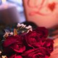 الهدوء العاصف