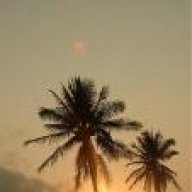 شامخه غصب عليك