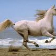 نهر الذكريات