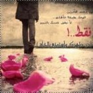 زهرة الليليك