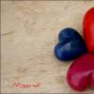 ســــــــارا