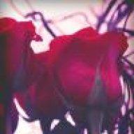 مواعيد الأمل