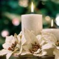 الزهر الجوري