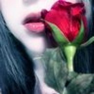 @@بوادر الحب@@