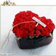 احساس الجوري