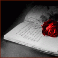 Hقلبي النابض