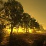 **نور النهار**