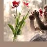 قاهرة المستحيل