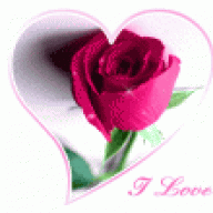 %ملكة المعاني%