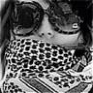 شموخي تعداهم