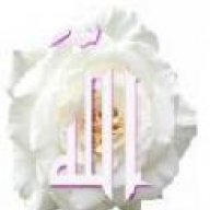 المستشاره/ ناعمة الهاشمي