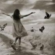 رُفآإت أحلـآإمـ