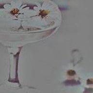 وردة السدير