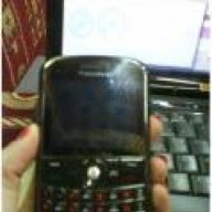 بنوته جديده