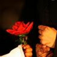 حورية الصدف