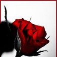 عندنا ربن كبير