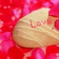 فلسطينيــــه