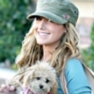 قـطــ نـدى ــرة