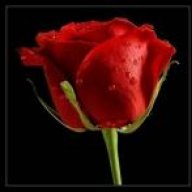 دانــ بوظبي ــة