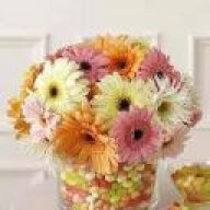 أميرة المجرة