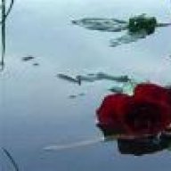 مشاعر الصمت