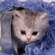 فلوونه الاموورة