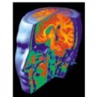 الفكر المسيطر