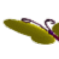 القلب النابض