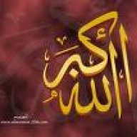 اليمامة الزرقاء