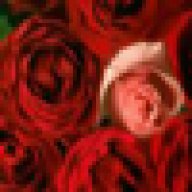 هدوووووووووووء