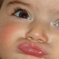 باريس نايتس