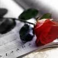 اوراق حالمة