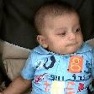 الوردالمنثور