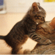 نسائم الوجدان