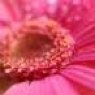 موتي ولاموت الم