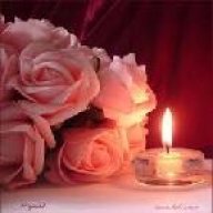 الضوء الخافت 44