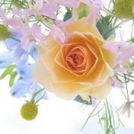 أنامل الشوق