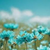 انا ملكة بالفعل