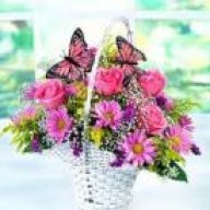 بستان الحياء