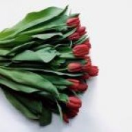 دعج الاعياني