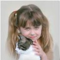 قطرة في بحر