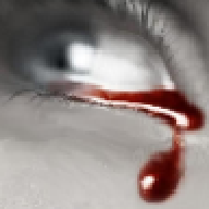 سعادة السفيره