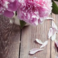 أناييس أناييس