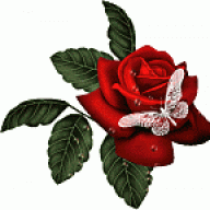 حياتي فداهم