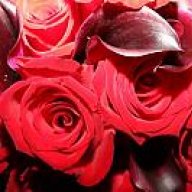 ام اسامة وابي