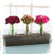 عاشقة الإتيكيت