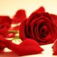 عطر المملكة