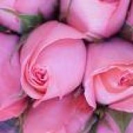 مملكتي الصغيرة