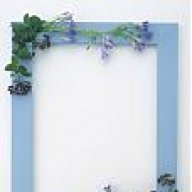 طريقي النور