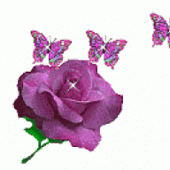 دانه بعين بحاره